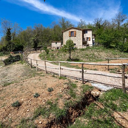 Podere Del Ciacchi Among Tuscany Greenery - Happy Rentals Montieri 外观 照片
